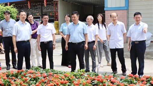 自治區(qū)政協(xié)常委、梧州市政協(xié)主席黃振饒蒞臨百裕集團走訪調研